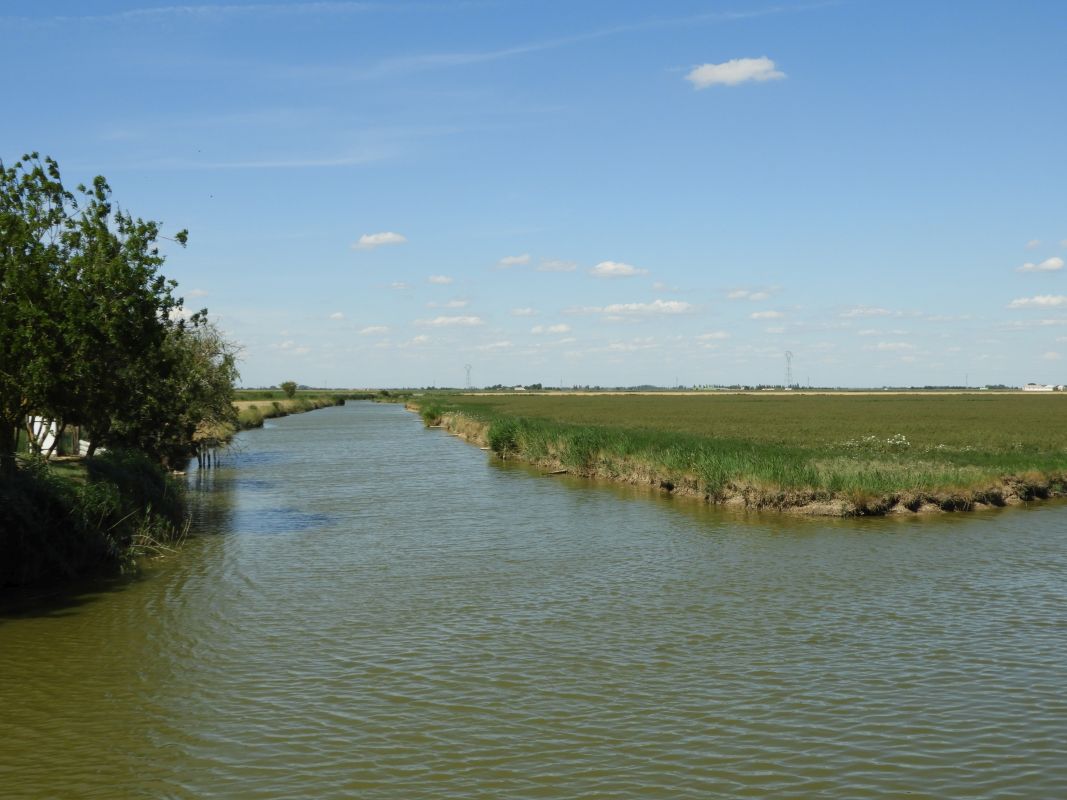 Canaux (3) dits canal du Temple, chenal de Galerne et canal de l'Epine