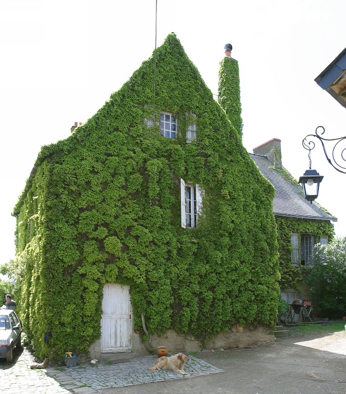 Manoir, puis ferme - le Chevrier, Saint-Jean-sur-Erve