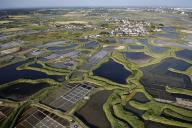 Marais salants de Guérande