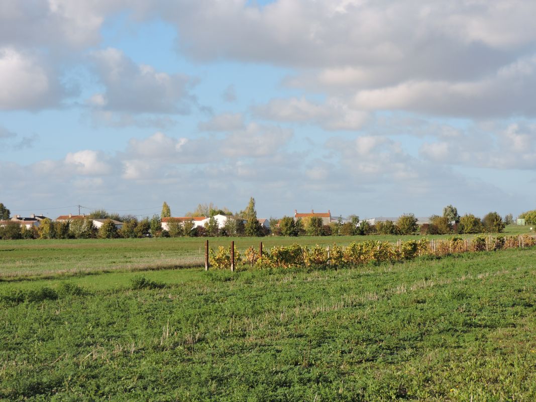 Maisons, fermes : l'habitat à Sainte-Radégonde-des-Noyers