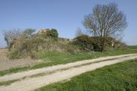 Moulins à vent de Monsieur (ruinés), Chaumont, Montsoreau