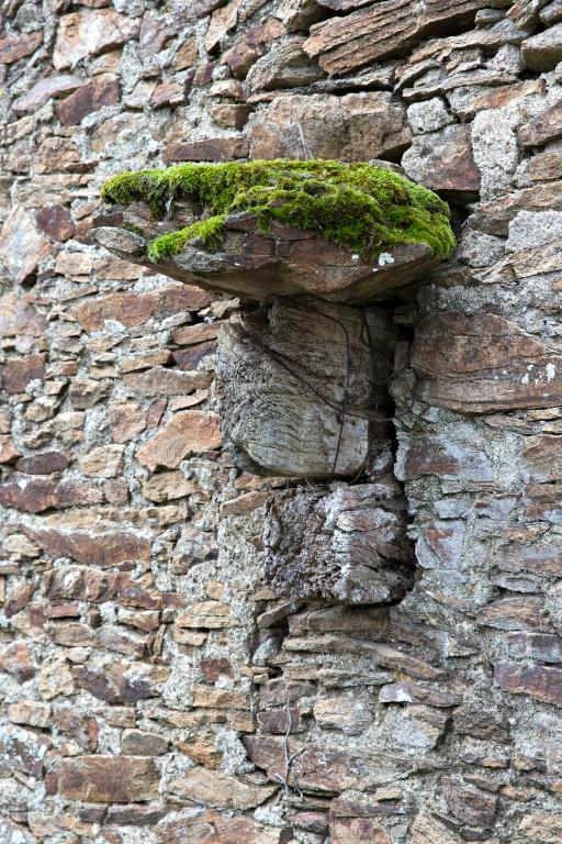 Corbeau de cheminée en saillie du mur pignon d'une habitation. La Rinière des Landes, Le Loroux-Bottereau.