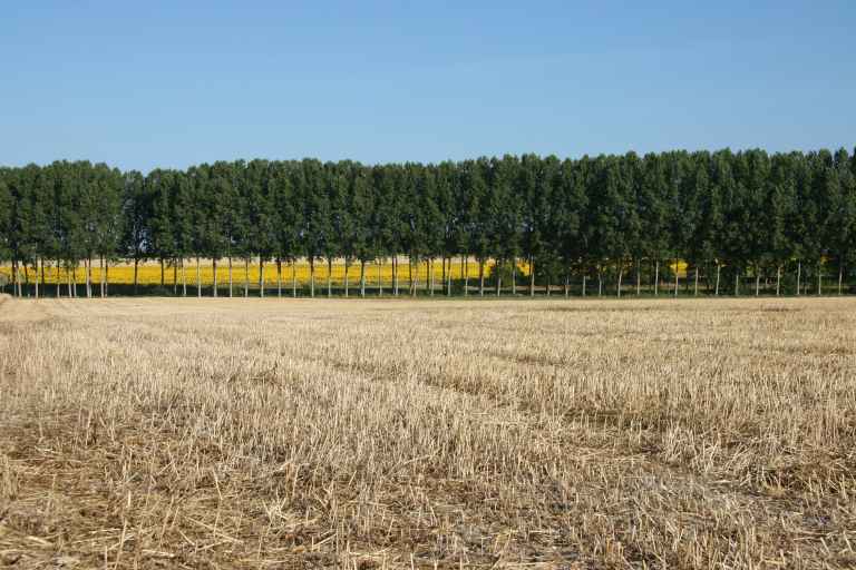 Savigné-sous-le-Lude : présentation de la commune