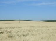 Paysage agricole sur le versant est du coteau, près de la Grande Soulisse.