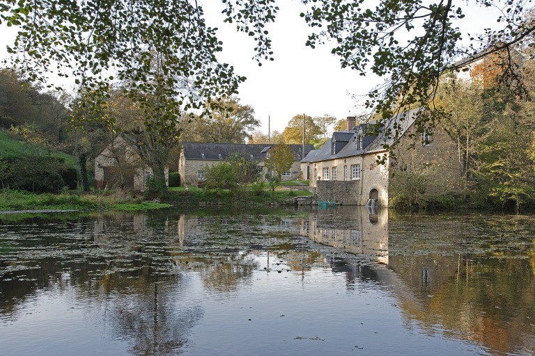 Moulin à farine, actuellement maison - le Moulin-de-Montguyon, Saulges