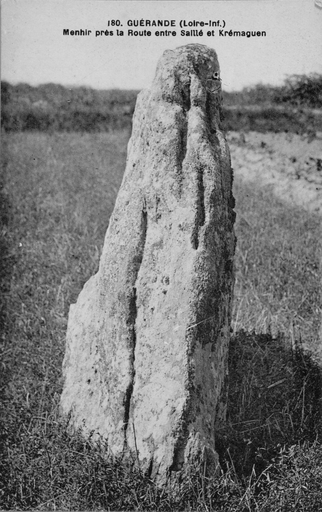 Menhir dit la Pierre de Saillé, Clos-Saint-Aubin