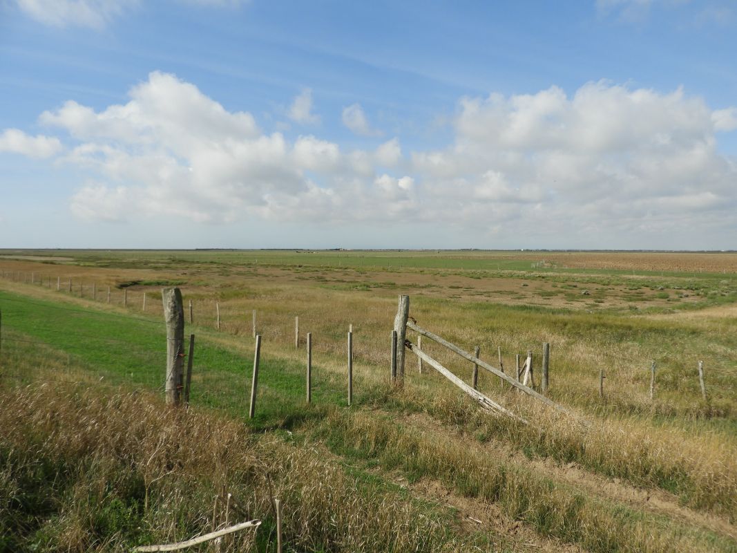 Digue du Nouveau marais desséché de Champagné