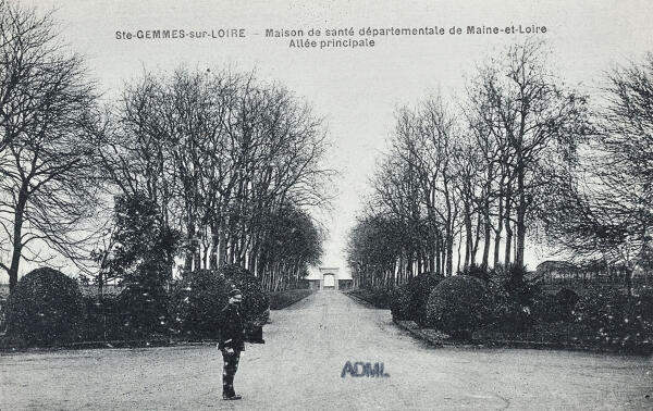 Château de Sainte-Gemmes, puis asile d'aliénés actuellement hôpital psychiatrique dit Centre de Santé Mental Angevin (CESAME)