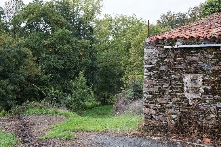 Vue sur le ruisseau du douet en contrebas de l'écart.