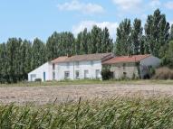 Ferme dite la hutte des Brûlis, actuellement maison ; île de Charouin