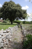 Chemin creux bordé de murs en pierre (Le Requer).