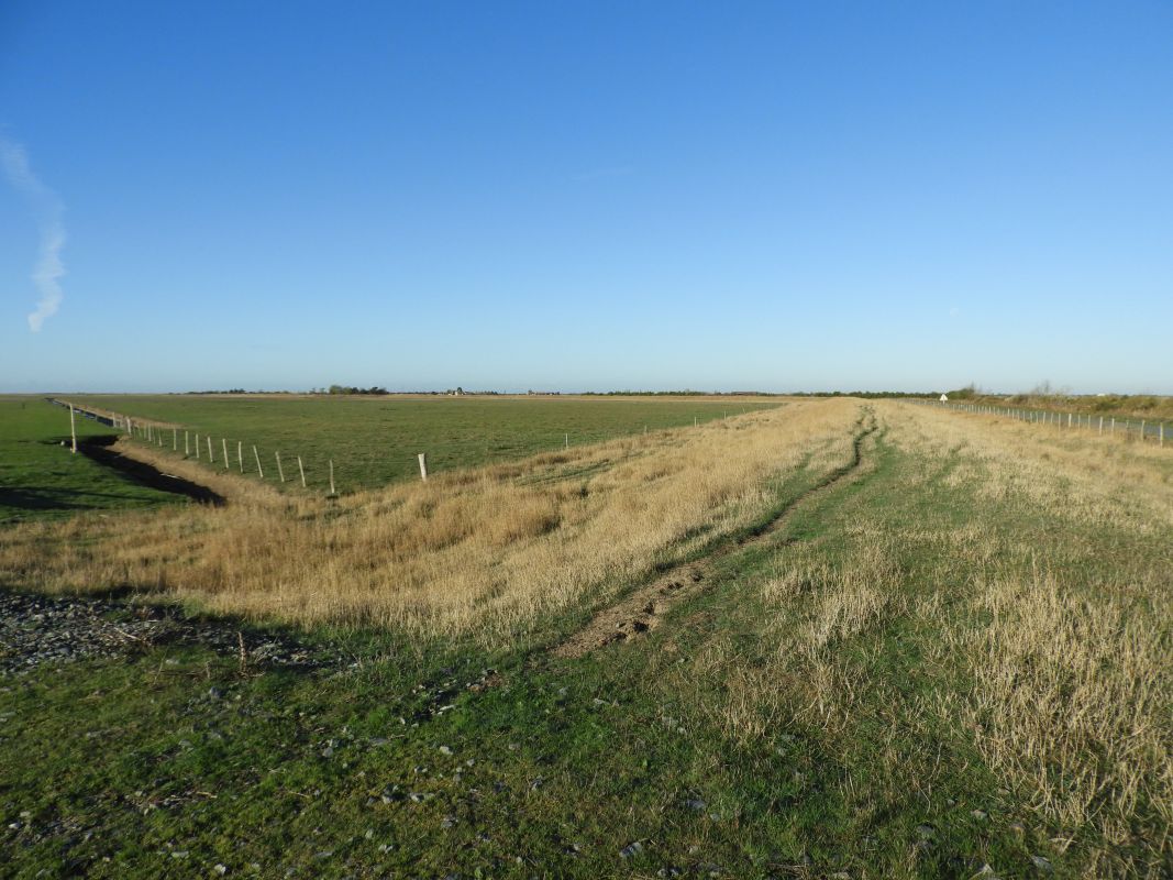 Digue du Vieux marais desséché de Champagné