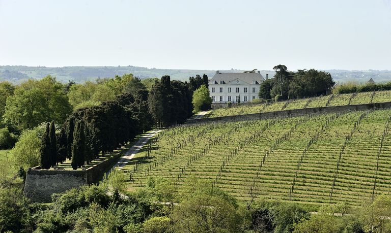 Maison de maître puis château de la Roche-aux-Moines