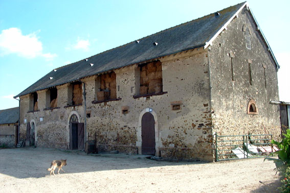 Ferme, le Pinot