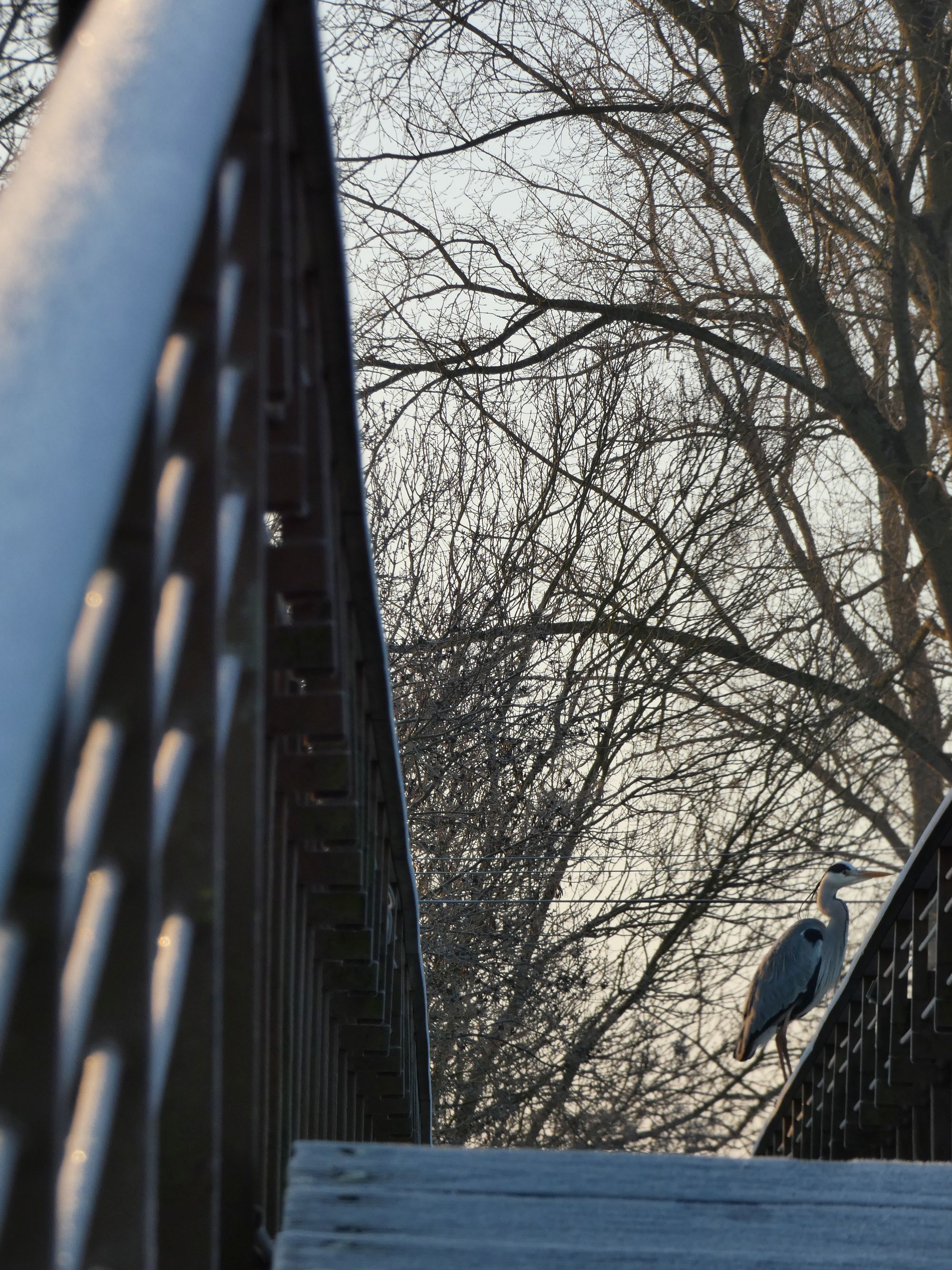 Passerelle du Village de la Sèvre