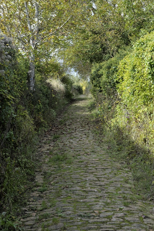 Route ou chemin des Bournais, Montsoreau