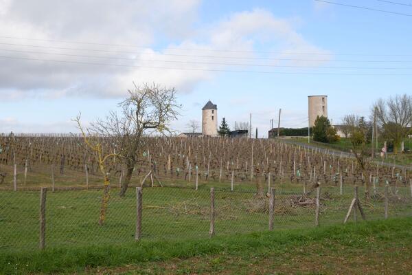 Moulin à vent du Lion ou du Bois, dit Vieux-Moulin