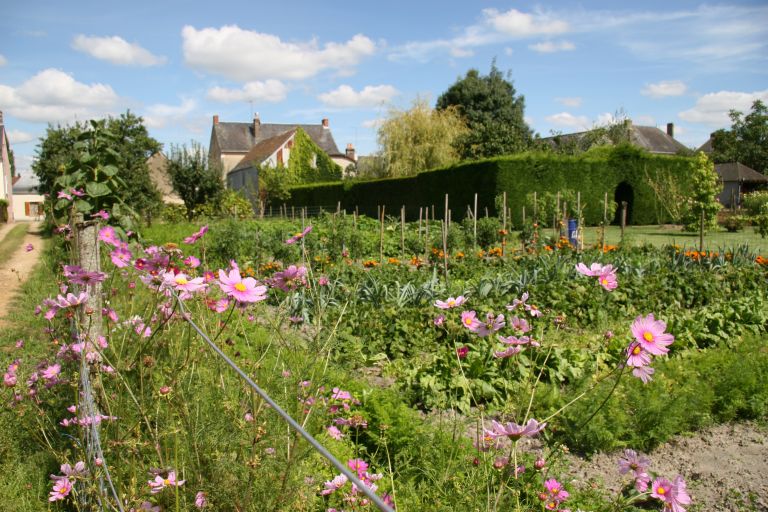 La Chapelle-aux-Choux : présentation de la commune