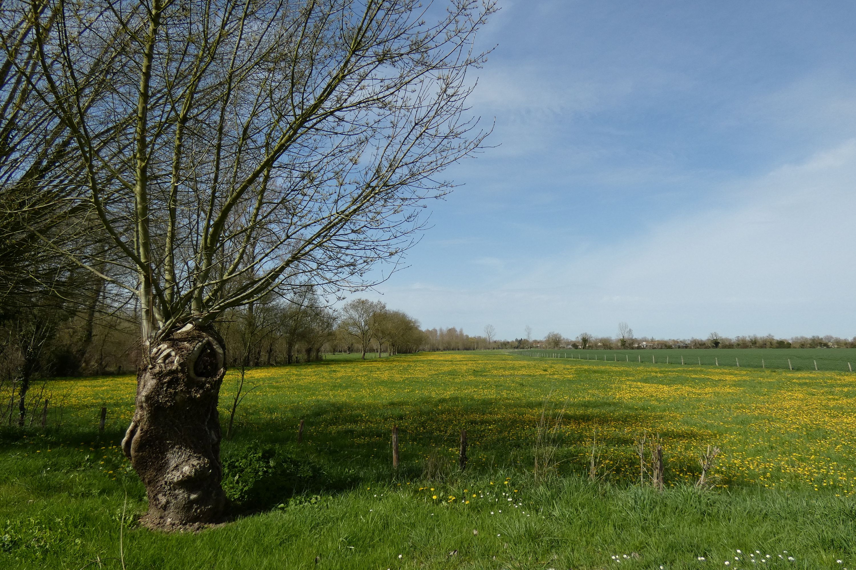 Hameau d'Aziré