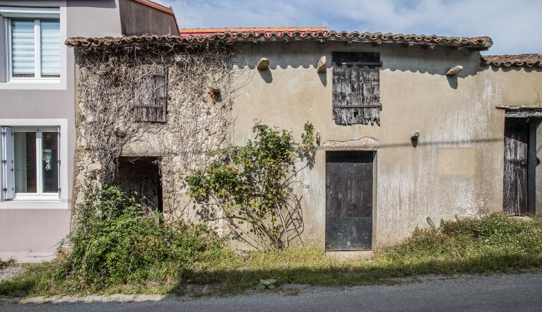 Pierres saillantes en façade de dépendances. La Pépière, Maisdon-sur-Sèvre, cadastre 2018, BN 01-367.