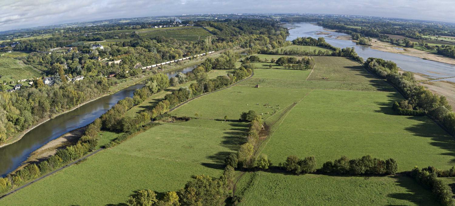 Béhuard. Vue aérienne de l'île vers l'est. A gauche, le bras de la Guillemette. A droite, le bras principal de la Loire.