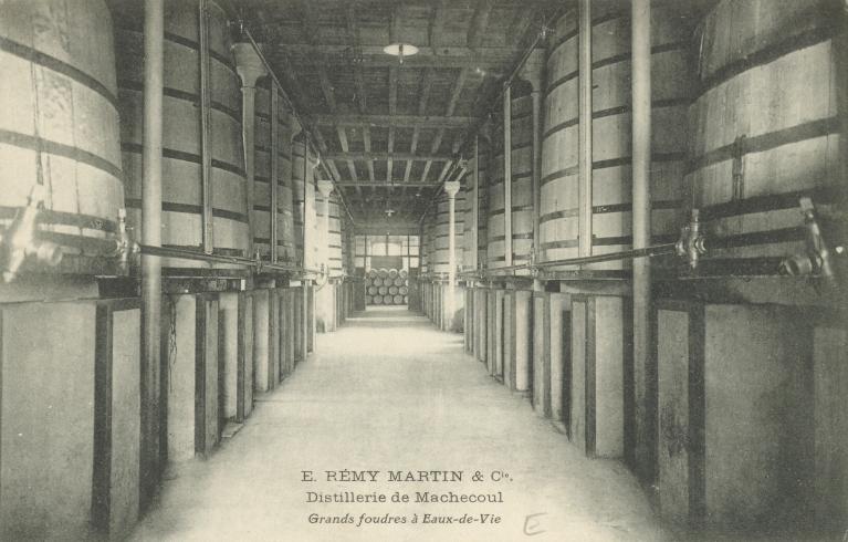 Intérieur d'un chai, vue des foudres, début XXe siècle.