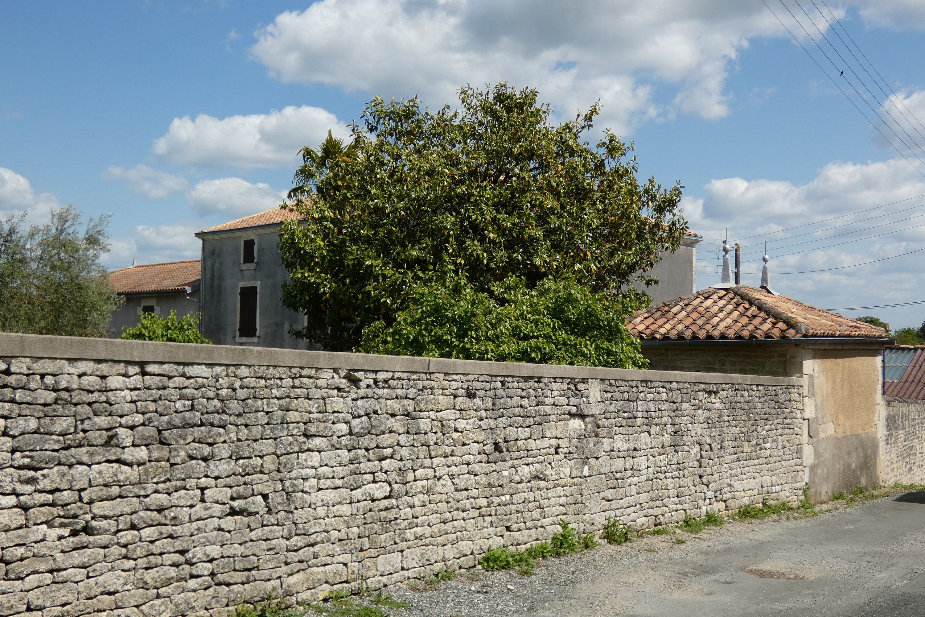 Maison dite le Cheval Blanc, 21 rue du Guerfou