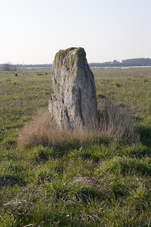 Menhir dit la Pierre de Saillé, Clos-Saint-Aubin