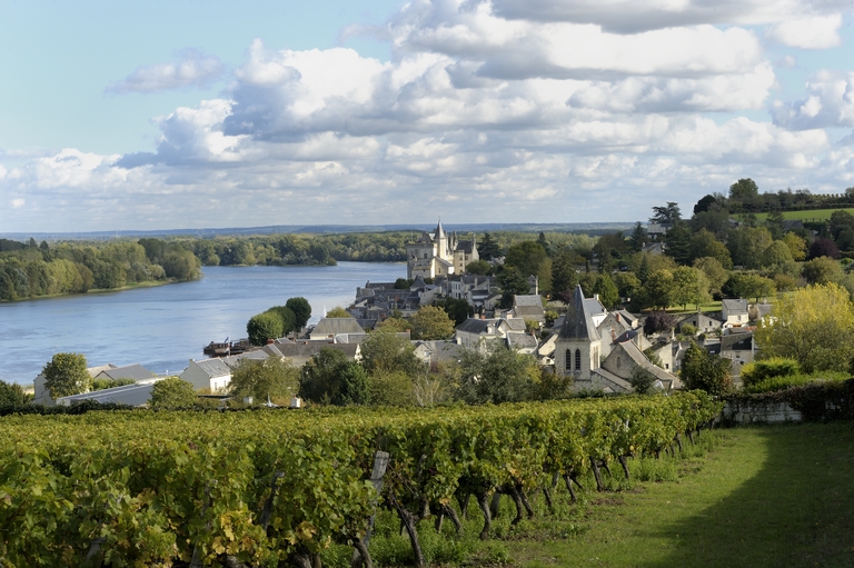 Montsoreau : présentation de la commune