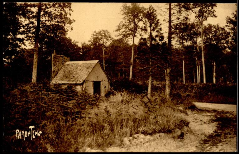 La Forêt de Bercé : présentation de l'aire d'étude