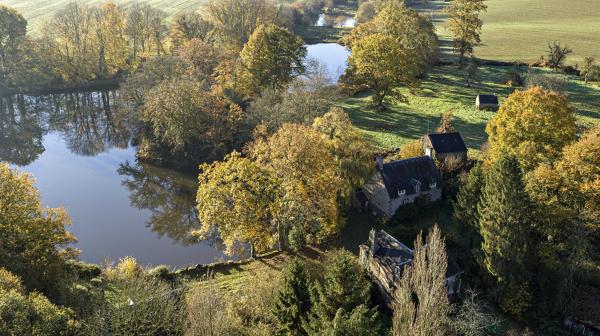 L'étang du Boulay (Brétignolles-le-Moulin). 