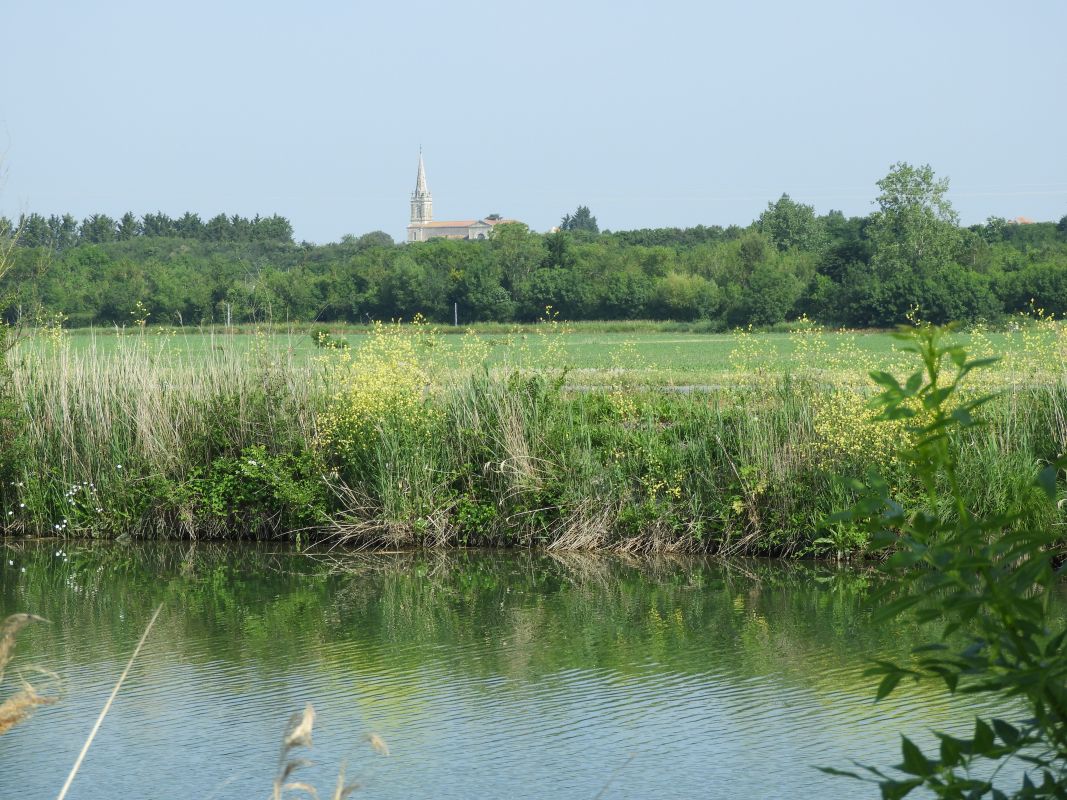 L'ÎLe-d'Elle : présentation de la commune