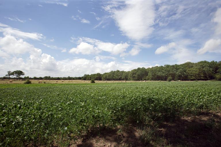 Blandouet, présentation de la commune