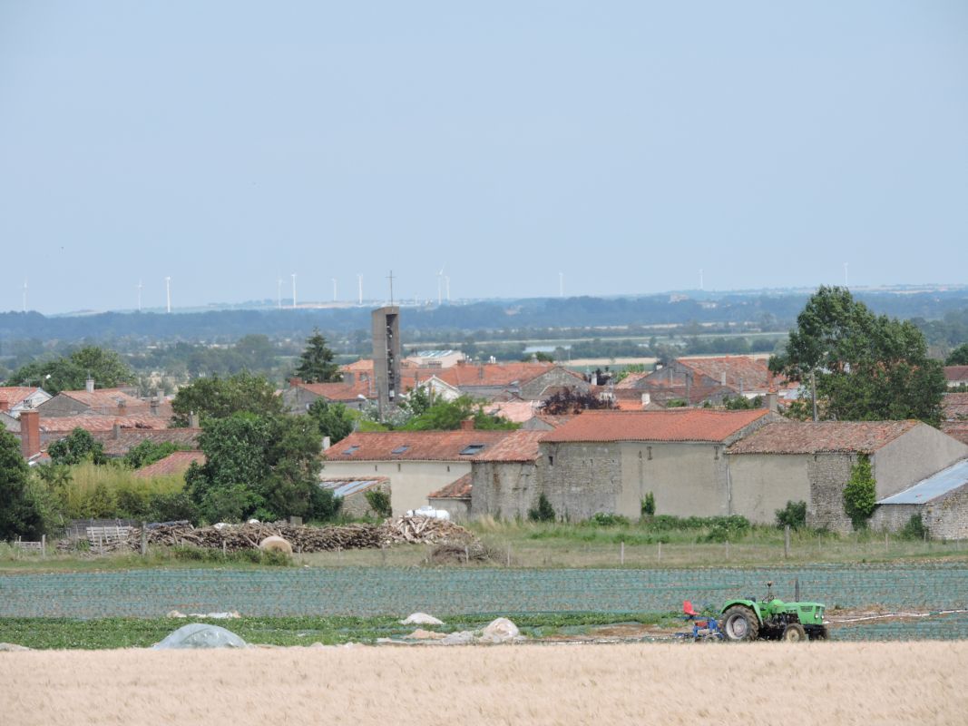 Maisons, fermes : l'habitat à Vix