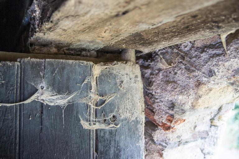 Gond de porte en bois. La Barillère, Mouzillon. Cadastre 2018, AT 01-216.