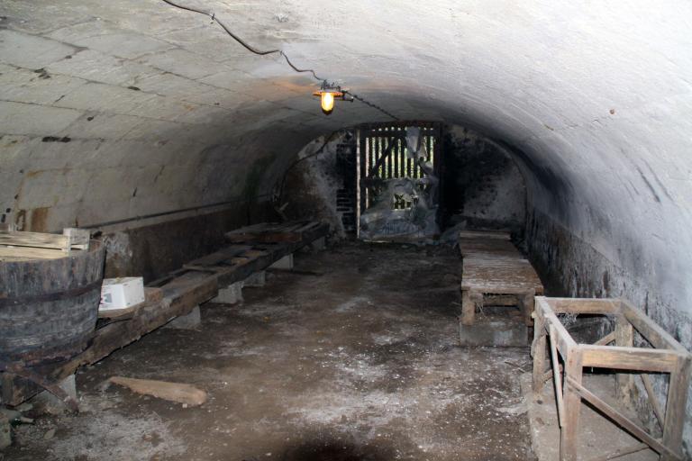 Ferme dite métairie de la Papillonnière, Hangar proche de la vieille maison  : cave voûtée en anse de panier, en pierre de taille (1883).  (IVR52_20097200934NUCA) - Inventaire Général du Patrimoine Culturel