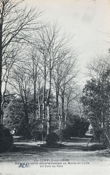 Château de Sainte-Gemmes, puis asile d'aliénés actuellement hôpital psychiatrique dit Centre de Santé Mental Angevin (CESAME)