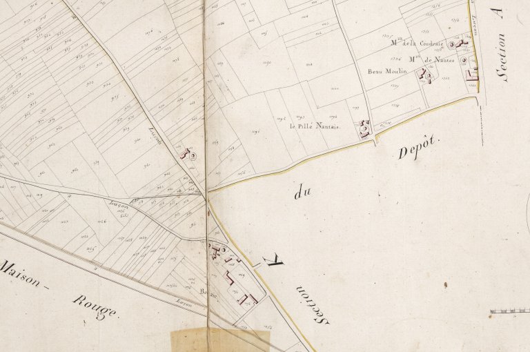 Analyse de l'évolution de la ville de Luçon