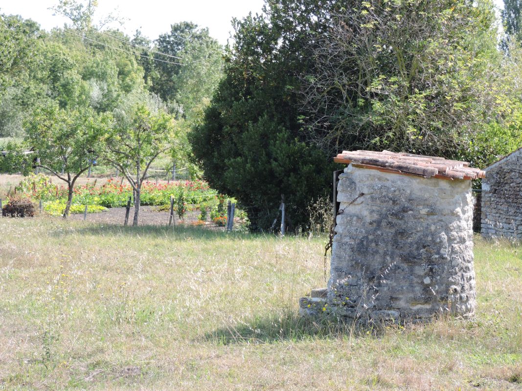 Puits ; le Bas des Vignes