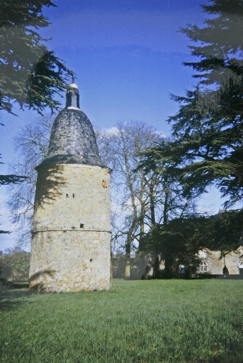 Château - Soulgé, Saulges