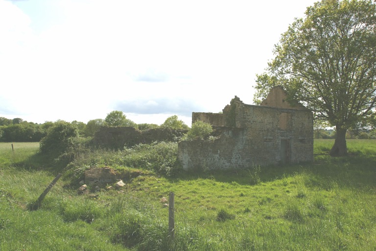 Ferme - la Dibonnière-du-Bas, Saint-Jean-sur-Erve