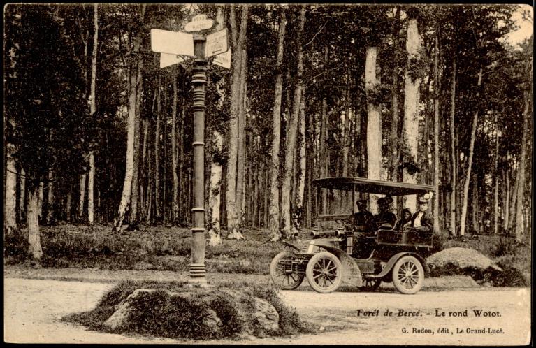 La Forêt de Bercé : présentation de l'aire d'étude