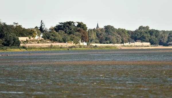 Sainte-Gemmes-sur-Loire : présentation de la commune