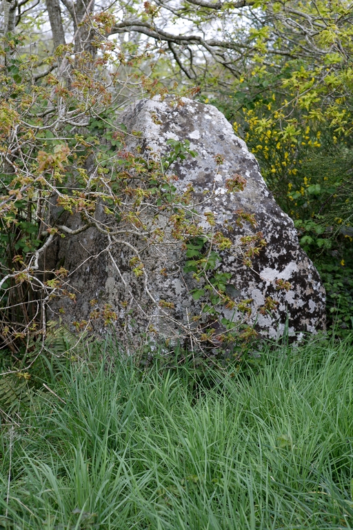 Allée couverte, dite dolmen de Sandun