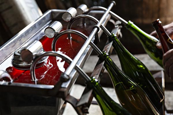 Mise en bouteille du cidre, hameau de Bignon (Niort-la-Fontaine)