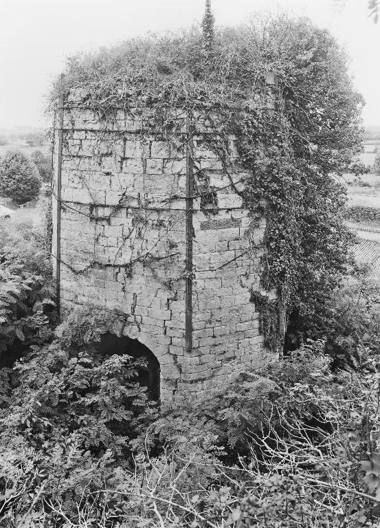 Les fours à chaux des Pays de la Loire