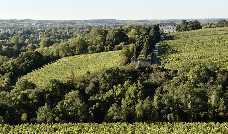 Maison de maître puis château de la Roche-aux-Moines