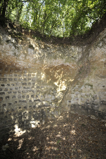 Pigeonnier troglodytique du Courty ou fuie du Courty, Fontevraud-l'Abbaye