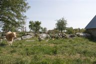 Écart, puis ferme, actuellement maison - la Pierre, Saint-Léger