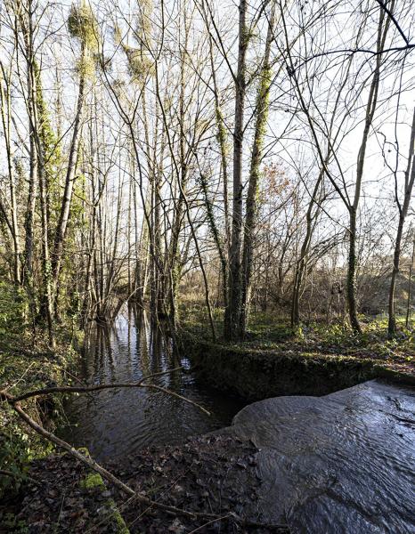 Hameau, château et motte castrale de la Grivellière